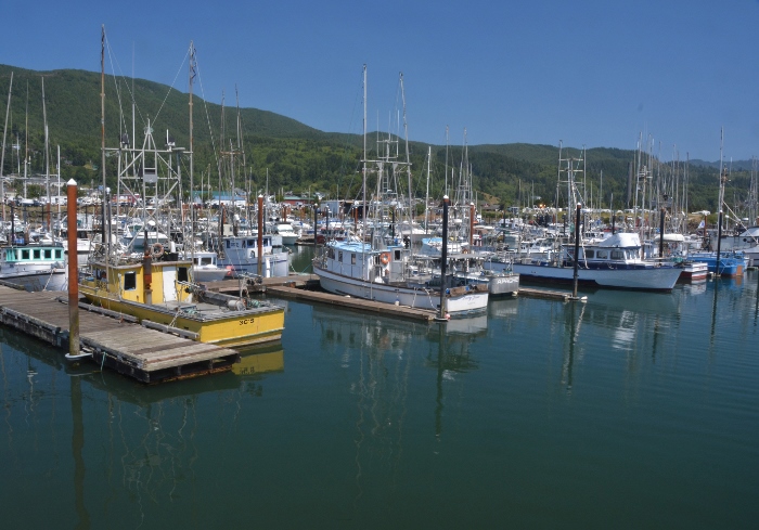 the Garibaldi marina